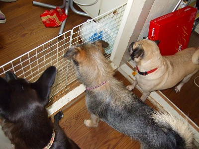 2007_1021kukku0009.jpg