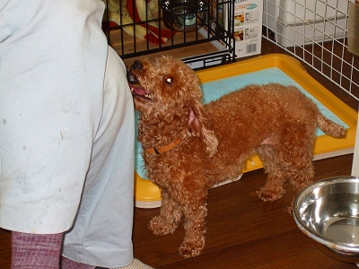 2007_1021kukku0010.jpg