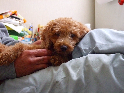 2007_1021kukku0014.jpg