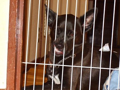 2007_1009kukku0213.jpg
