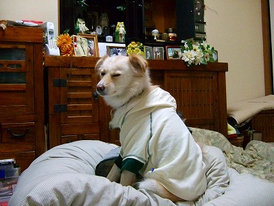 2008_0121kukku0124.jpg