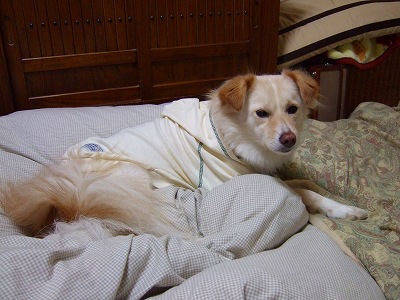 2008_0121kukku0120.jpg