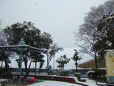 2008_0209kukku0016.jpg