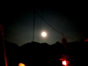 P1010435.JPG