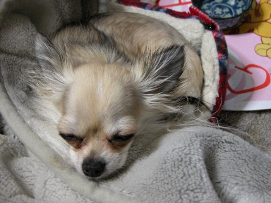 20050406-2