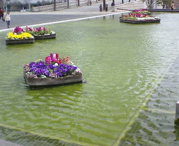 横浜美術館　池