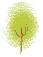 緑の木