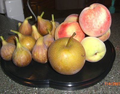 fruits 07.jpg