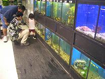 fishtank
