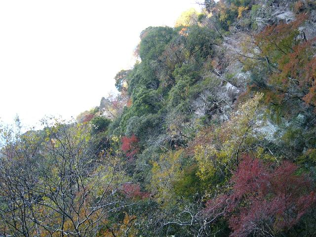 滝周辺の紅葉.JPG