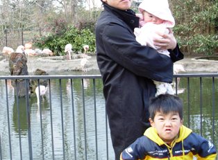 動物園１