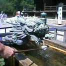 Pht0608051342.jpg