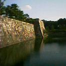 Pht0608051613.jpg