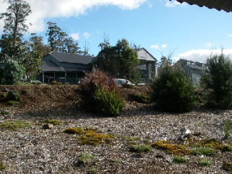 Cradle Mountain gallary