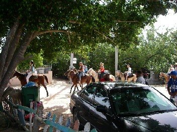 horse riding tour