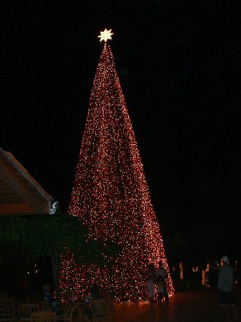 クリスマスツリー＠バルセロ