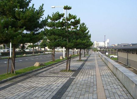 遊歩道