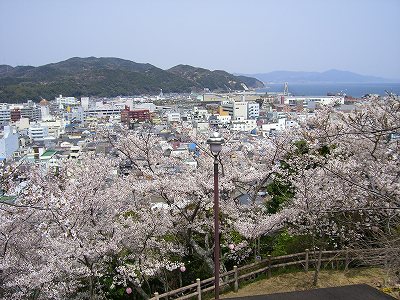 曲田山からの洲本市内