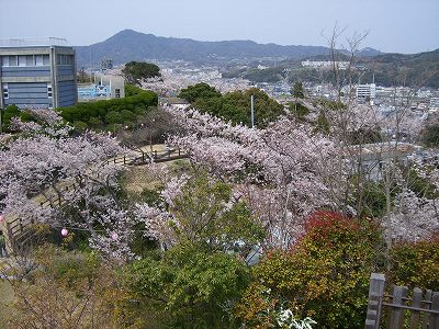 曲田山山頂