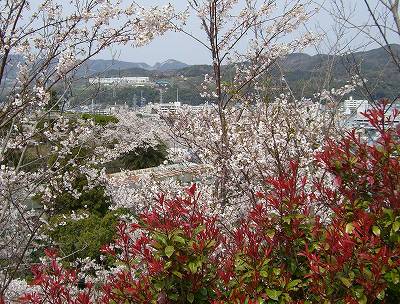 曲田山