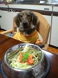 みどりのつるつる～♪