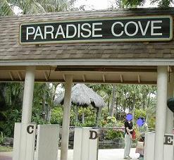 paradaise cove　in
