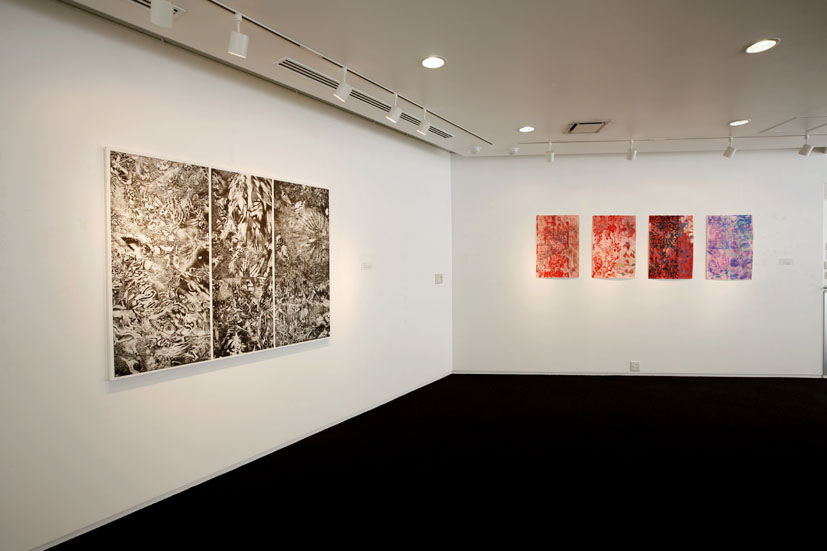 永井雅人展、２００９年東京