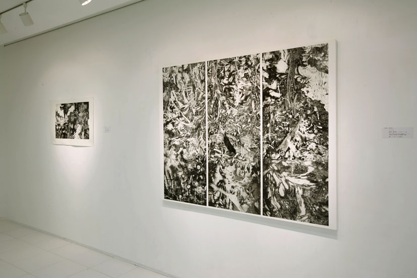 永井雅人展、２００９年東京