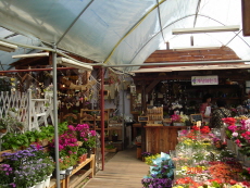 green garden shop