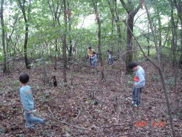  kurihiroi minna toru