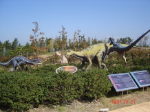  jyakuniku kyousyoku.JPG