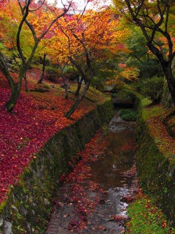 東福寺の川