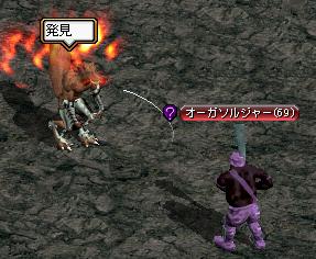 発見ｗ