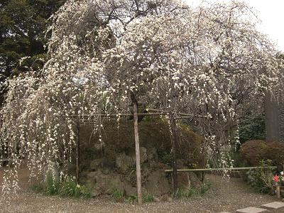 宝戒寺