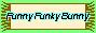 Funny Funky Bunny_logo