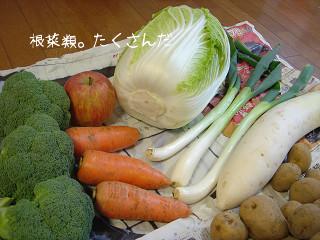 根菜類。すごいたくさん。。。