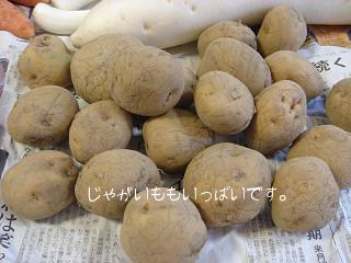 山盛りのジャガイモ！！