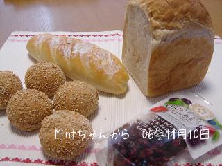 Mintちゃんから　06年11月10日