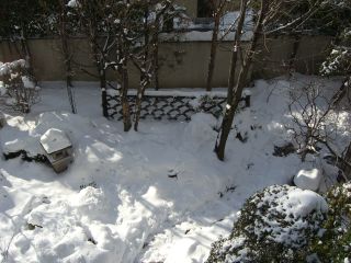雪で埋もれた庭