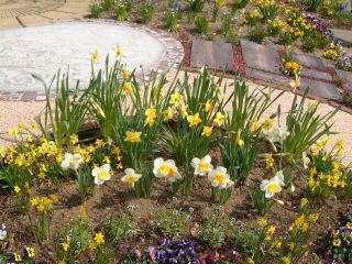 ひたち海浜公園にて～その２～