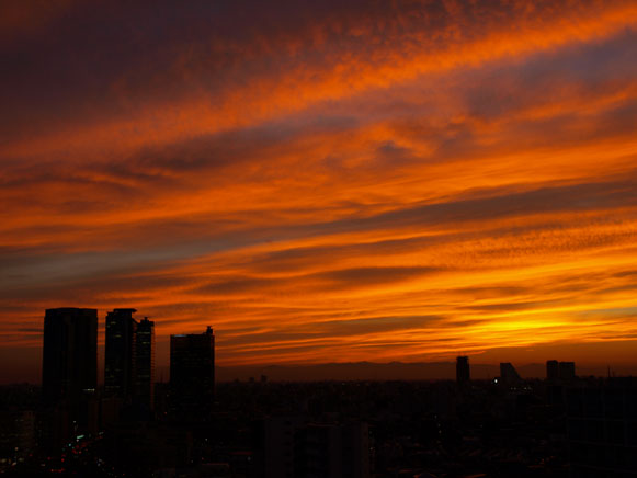 新宿夕焼０８０７２８２