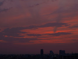 新宿夕焼０９０８０５