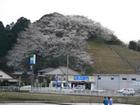 久留里線車窓風景