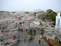 太田山公園＠木更津