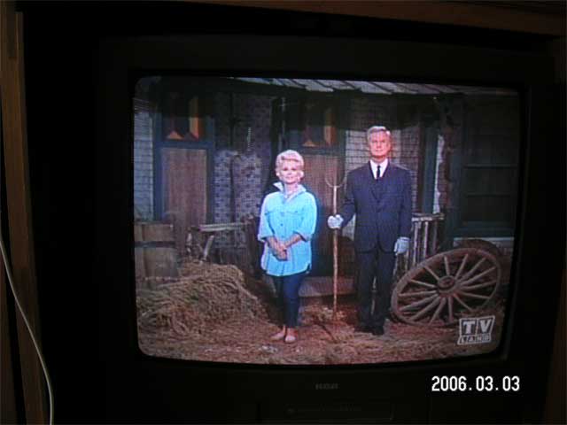 Green-Acres-TV-2.jpg