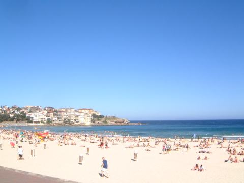 bondi