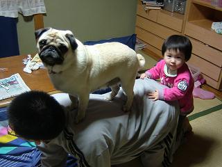 組み体操　ＳＬ!?