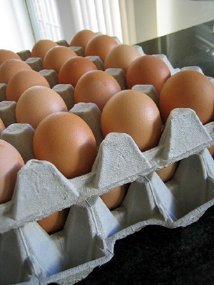 eggs