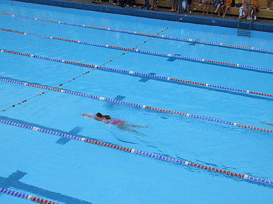 Swimming　Carnival