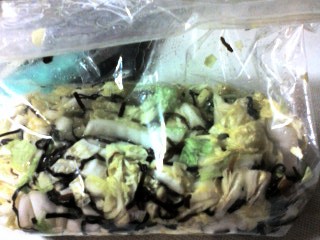 白菜と塩こんぶ漬け